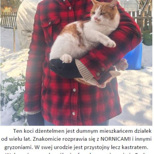 Przechwytywanie