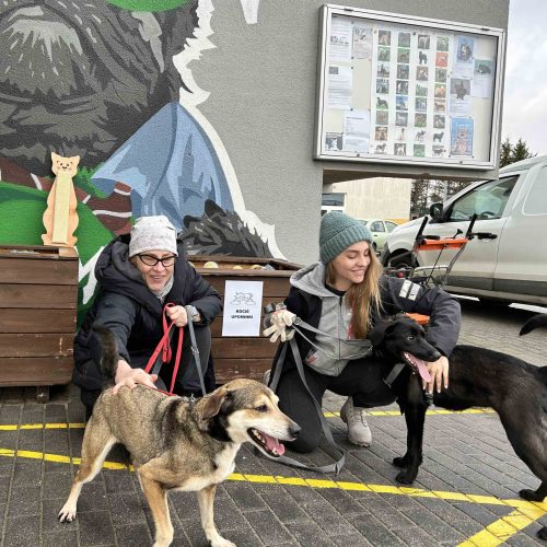 Tuna i Majster7621