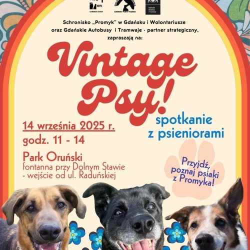 Vintage!2025 plakat - 1
