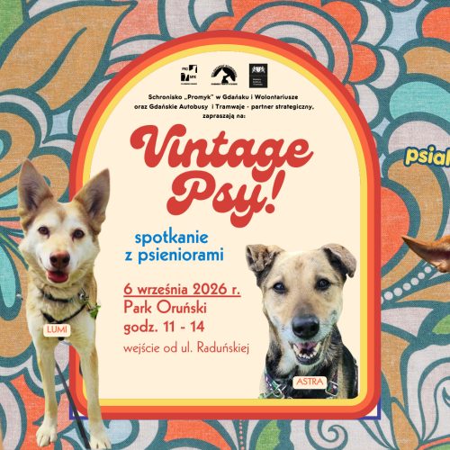 Vintage Psy!2026 tło wydarzenia