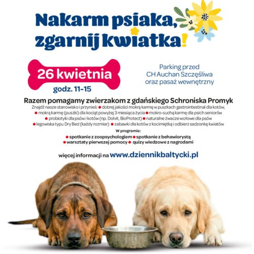 Zrzut ekranu 2026-04-20 o 13.55.52