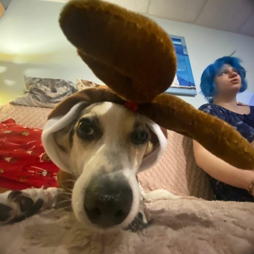 att.DRGRVqJd4R-7zZ8ZdCiKuMethjBjgA3ZyTipKqGvFvc