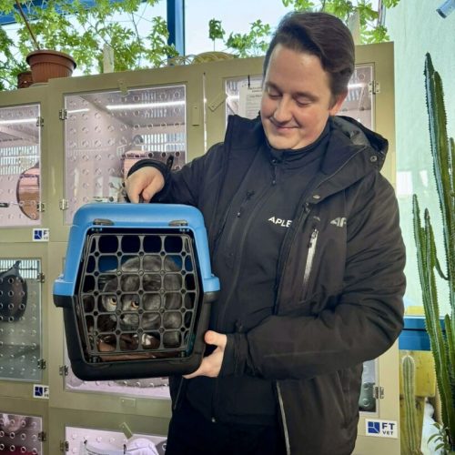 att.InFCog2IZjq4YZYdI-U-kvS-k6sUmsgA-64SOElqHoc