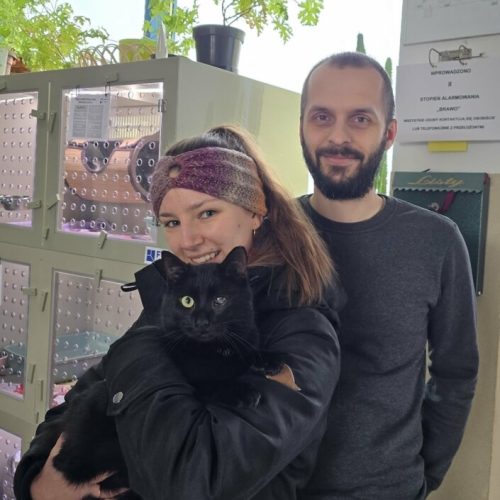 att.JW0b6BW5CSgUSkmH4qqRfcfhMwNf8BuYorDRGYNCtA0