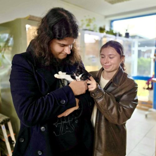 att.R0xjA3jkWV7bQJKlmjklhEhMDnciMzLZc7osZg3KDRo