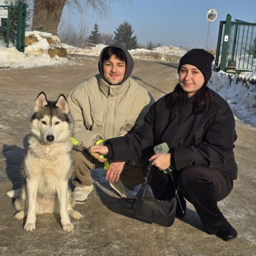 att.SzwUSTPe0CAM3jJpaEM-MVqU9mChXFckk6mRbsDgDNU