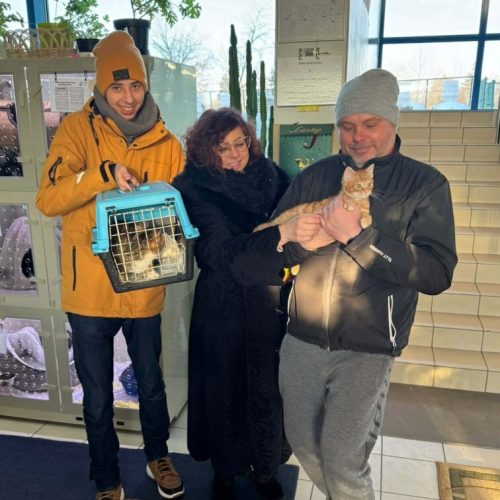 att.XZxCZS5C-gY_B6lA7aUQ1Cm_ercEvcWT0NIn_q-FsSY