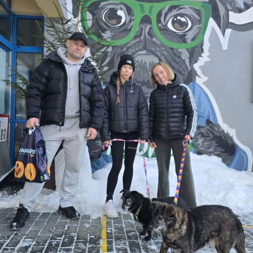 att.b4YVvb8r1M1UWMO9dSTXNMN2PmP4OjMW3iB_2Au_Ne8