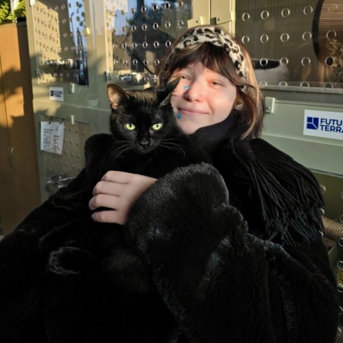 att.ehENuiF23jX3m4k2wxsvklONo0Y-nssshTdHsJIctXE