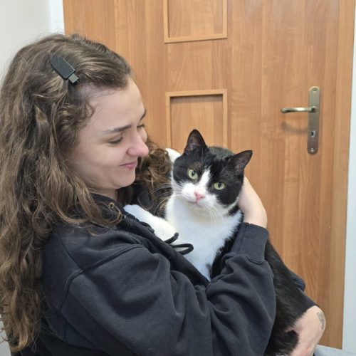 att.fkGIiePVwA9KOsnxHYLH--t_oKH2g9jPXxH0ByyqFYY