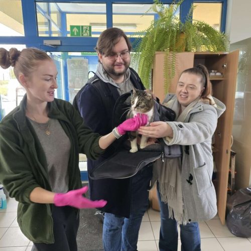 att.qnCaJNNZFUe0g7JQlFr12kW-XnvJQYltMu4TmPa7MJs