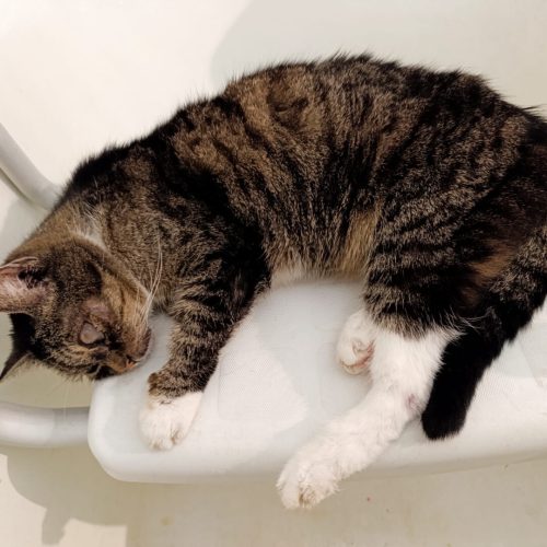 b93729a3-5d61-4687-b85d-af0dbd695e35