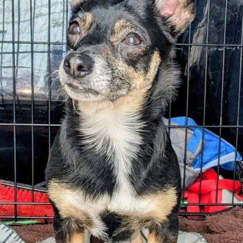 e09d7739-6404-48f4-a9b9-94c3b5c2cdaa~1