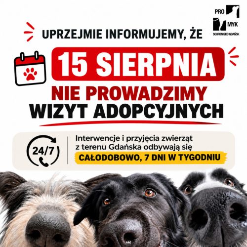 info 15 sierpnia