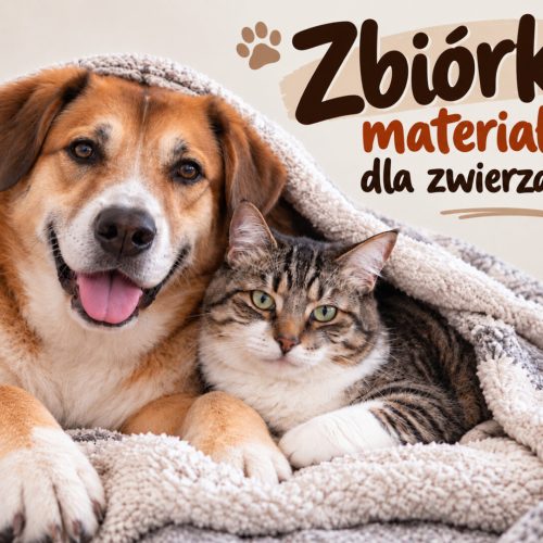 zbiórka materiałow Promyk