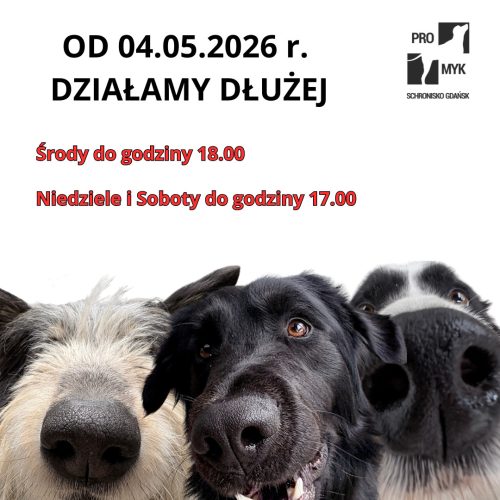 zmiana godzin